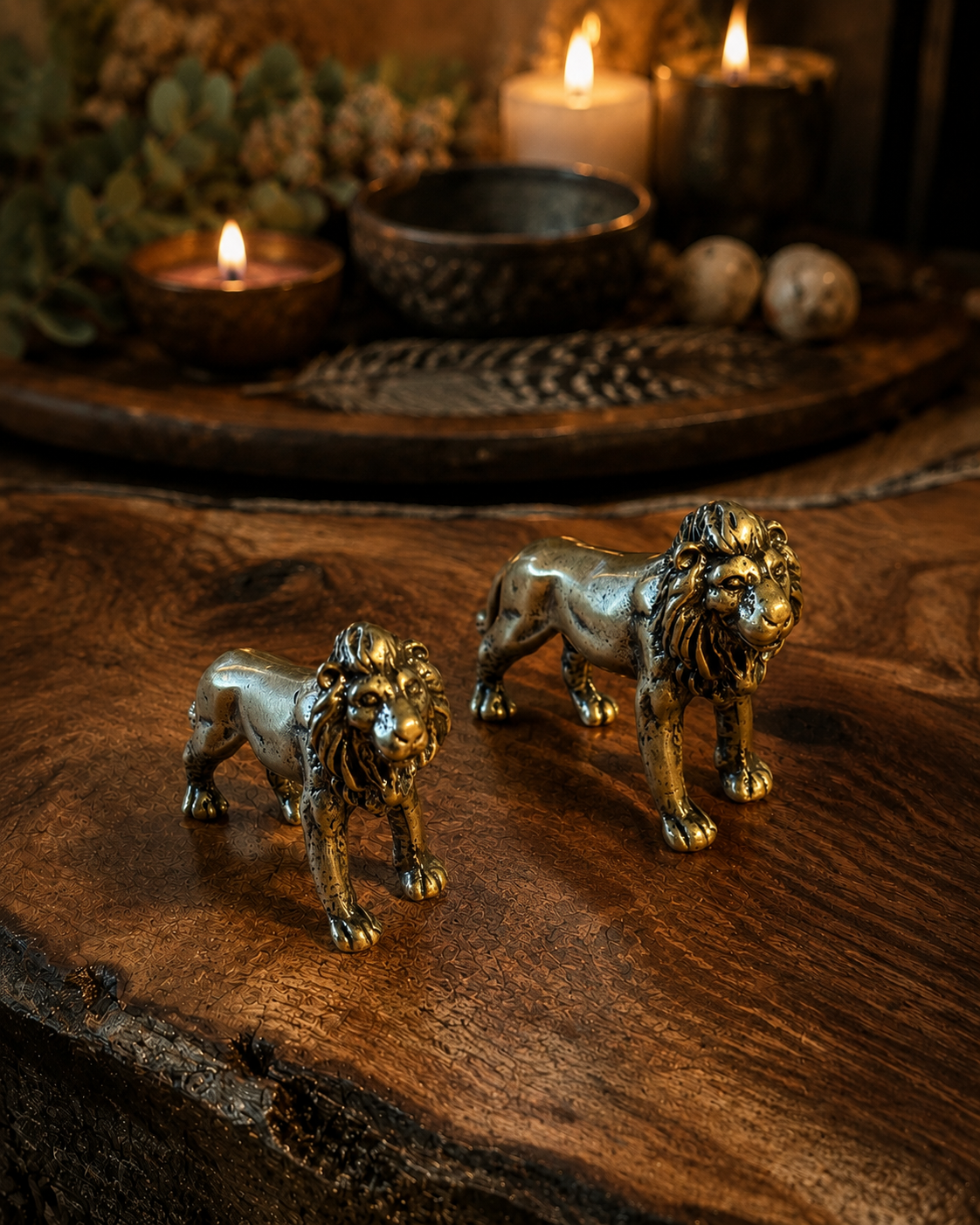 The Lion